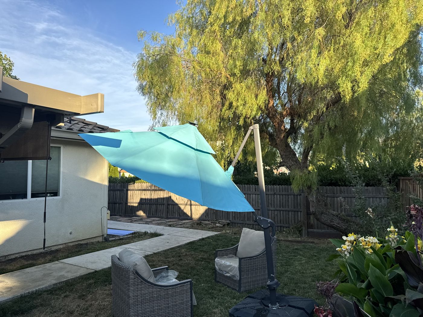 Lush green backyard at Whale CA with a mature willow tree, lawn, garden flowers, and shaded seating.
